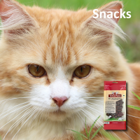 Snacks für Katzen