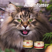 Nassfutter für Katzen