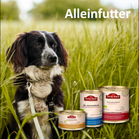 Nassfutter für Hunde