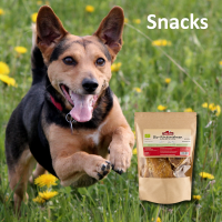 Snacks für Hunde